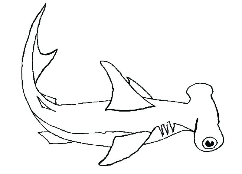800x577 Coloring Pages Sharks Coloring Page Shark Shark Coloring Sheet