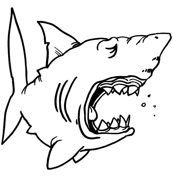600x670 Find The Best Coloring Pages Resources Here!