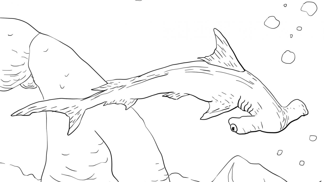 1366x768 Nice Lemon Shark Coloring Page Embellishment