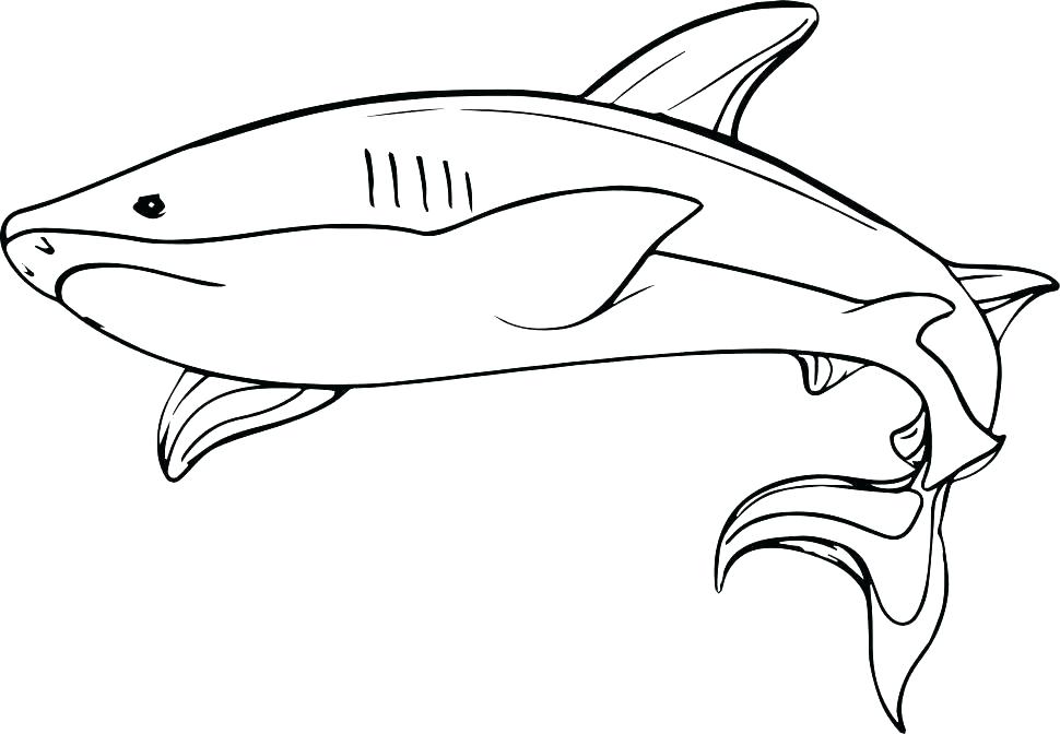970x672 Shark Coloring Page Free Good Hammerhead On Seasonal Colouring