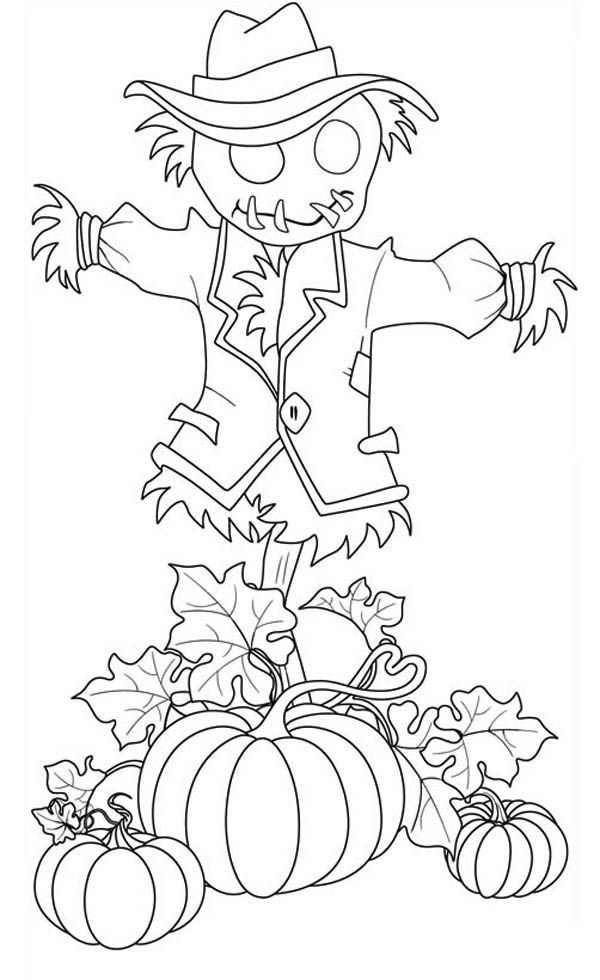 600x980 64 Best Icolor Scarecrows Images On Coloring Books
