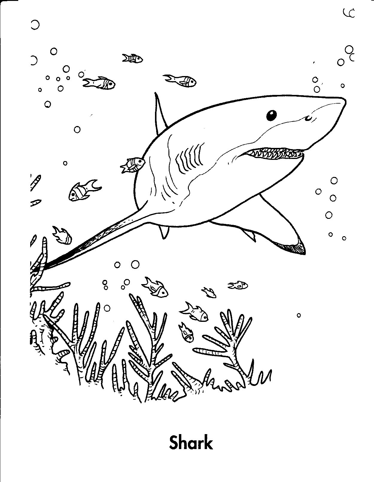 Hungry Shark World Coloring Pages