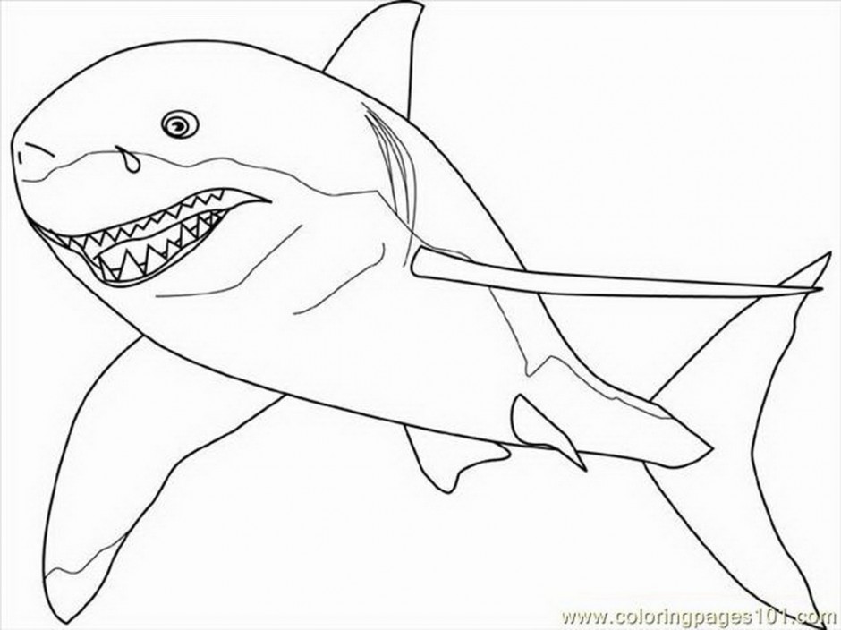 940x704 Great White Sharks Coloring Pages 447133