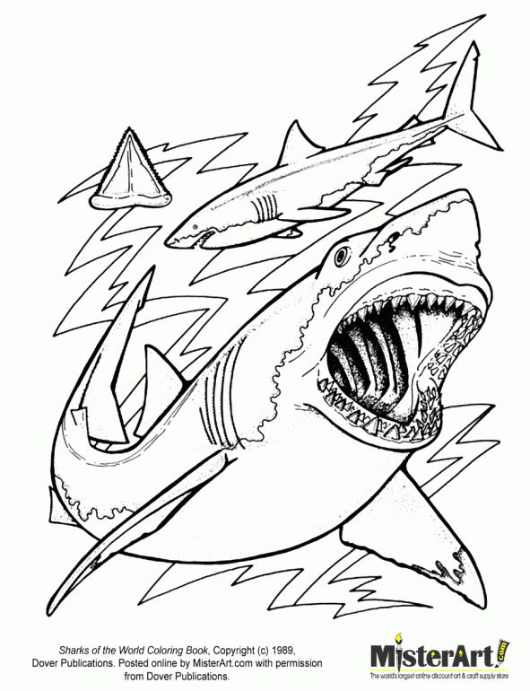 591x770 85 Best Cartoon Images On Colouring Pages, Coloring