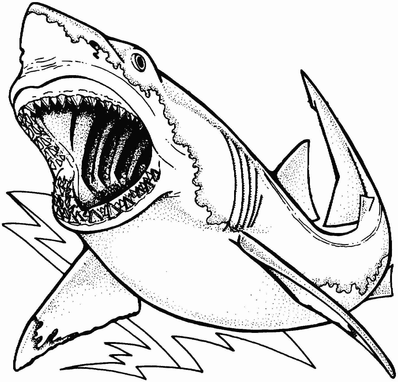 1513x1454 Shark Drawing Coloring Page Within Megalodon Pages Itgod Me