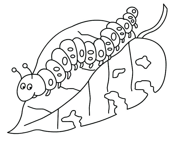 736x597 Very Hungry Caterpillar Coloring Page Coloring Book Plus Coloring