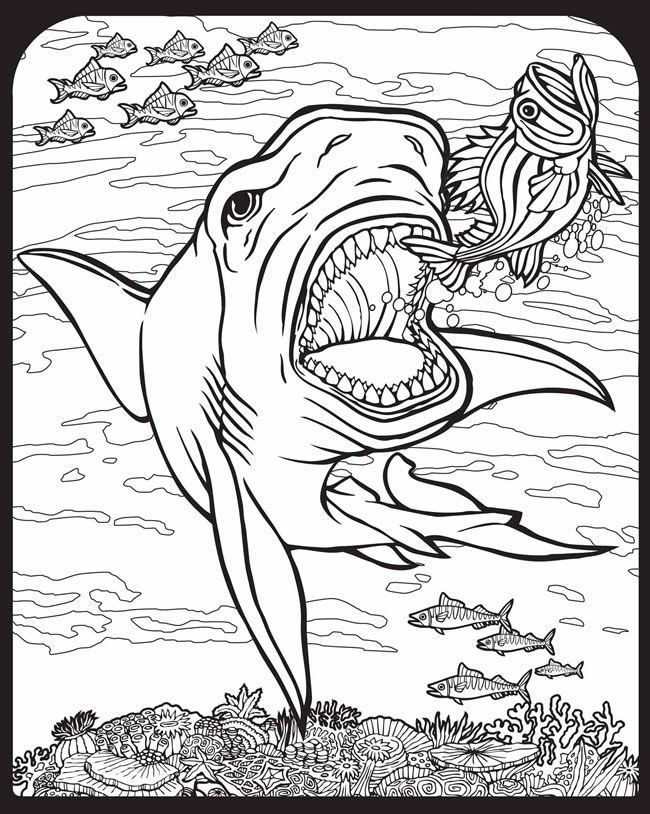 650x814 Willkommen Bei Dover Publications