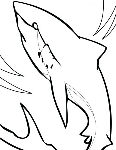 386x500 Coloring Pages ~ Shark Coloring Pages Vector Of A Cartoon Hungry