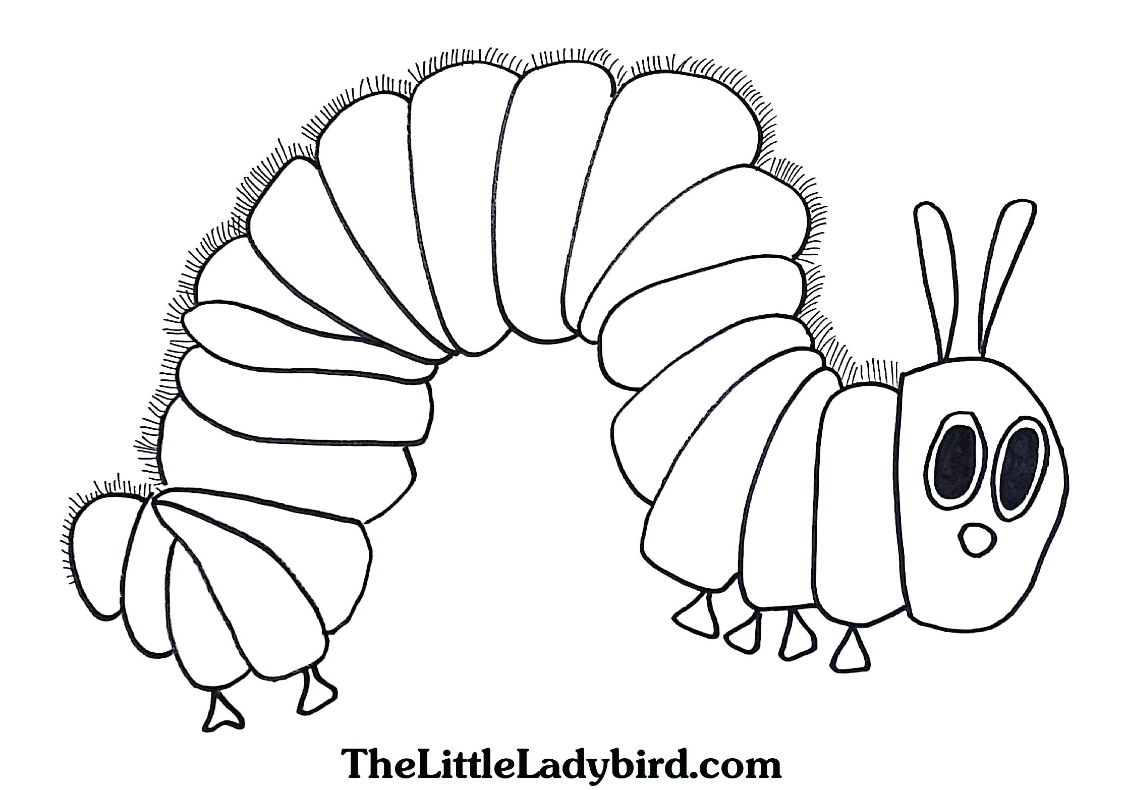2230x1566 Coloring Pages Thanksgiving Dinner Check Out My Reef From Hungry