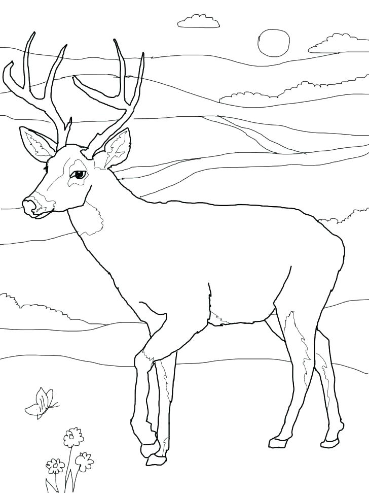 728x971 Hunting Coloring Pages Free Deer Hunting Coloring Pages Hunting