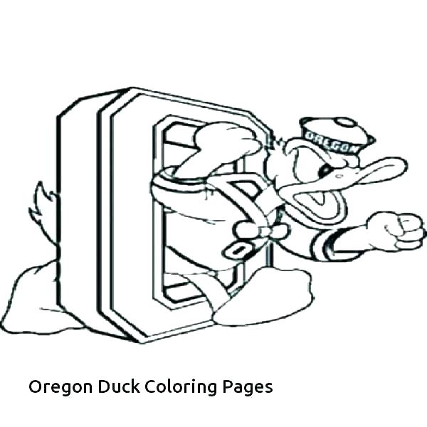 600x600 Hunting Dog Coloring Pages Hunting Dog Coloring Page Printable