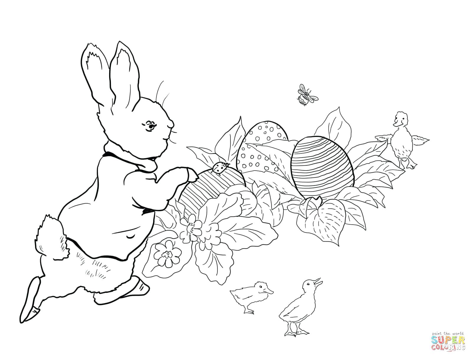 1600x1213 Hunting Dog Coloring Pages Savanna Animals Free Printable Drawn