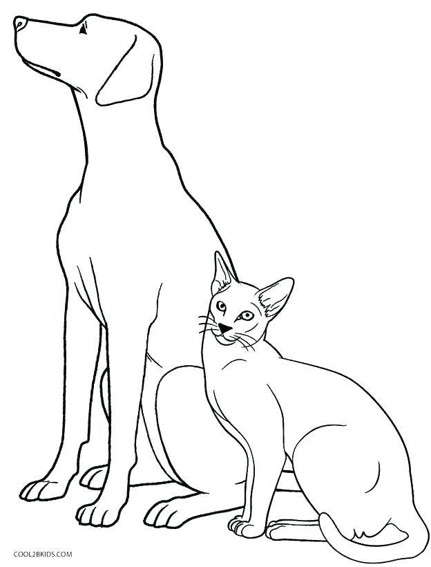 624x820 Realistic Dog Coloring Pages Wildlife Coloring Pages Hunting Dog