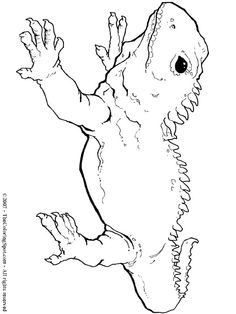 236x314 Coloring Page Hunting Dog Images Hunting Dogs