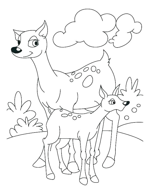 612x792 Deer Hunting Coloring Pages Deer Hunting Coloring Pages Hunting