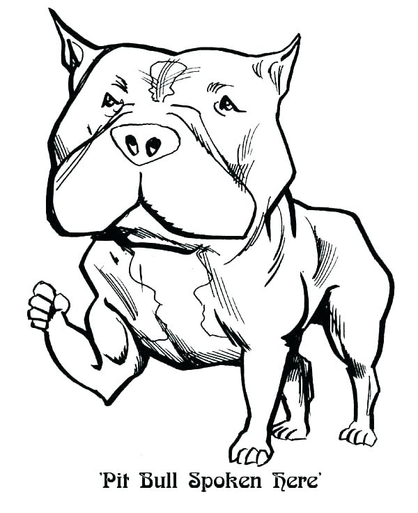 600x735 Husky Coloring Page Husky Football Coloring Pages
