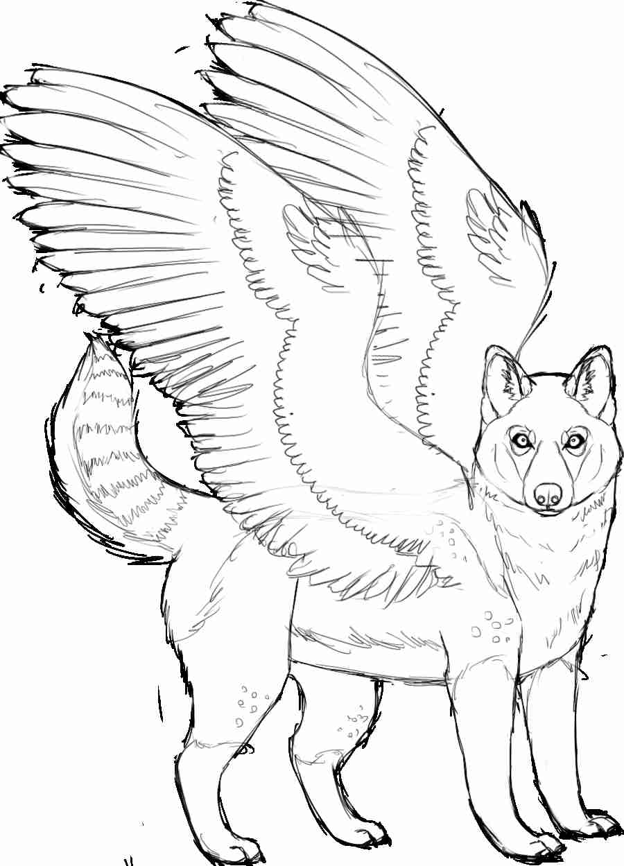900x1249 Husky Coloring Pages Vitlt Com Tearing Olegratiy
