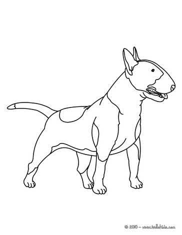 364x470 Husky Coloring Pages