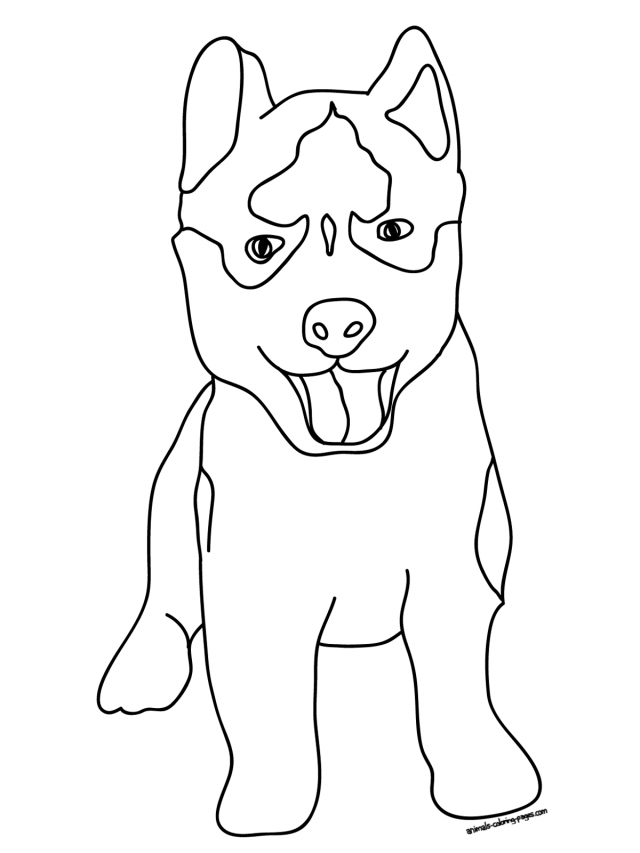 640x853 Siberian Husky Coloring Pages Az Coloring Pages Husky Dog Coloring
