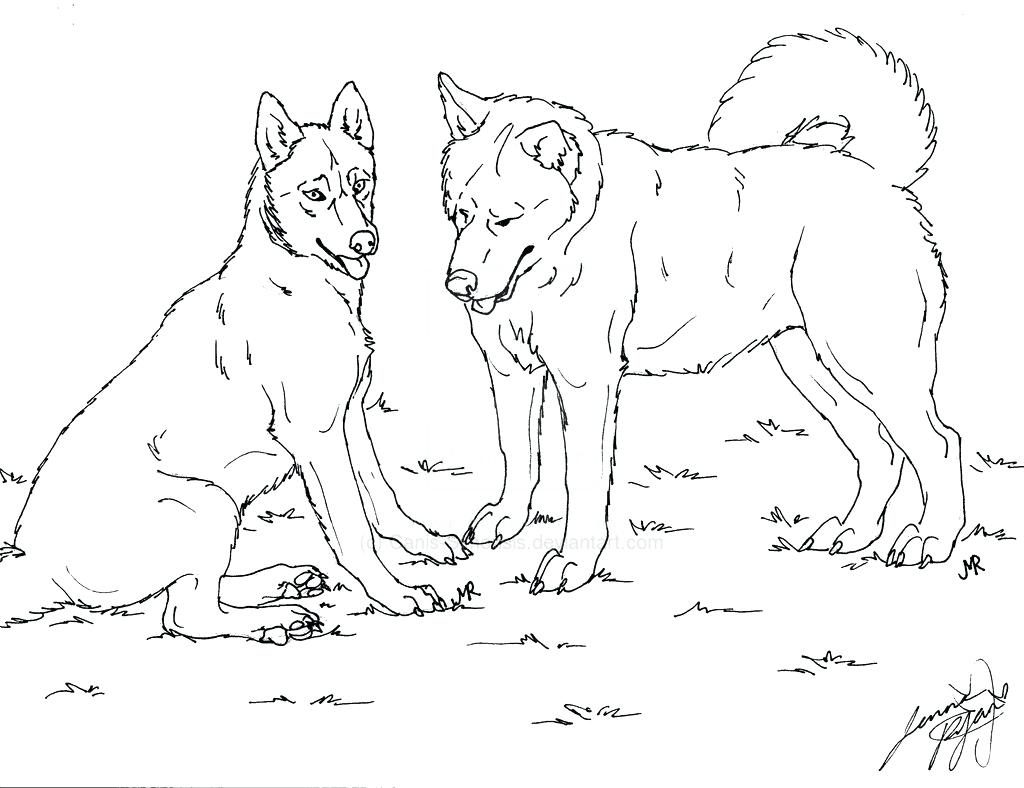1024x788 Coloring Pages ~ Husky Coloring Pages Realistic And Husky Coloring