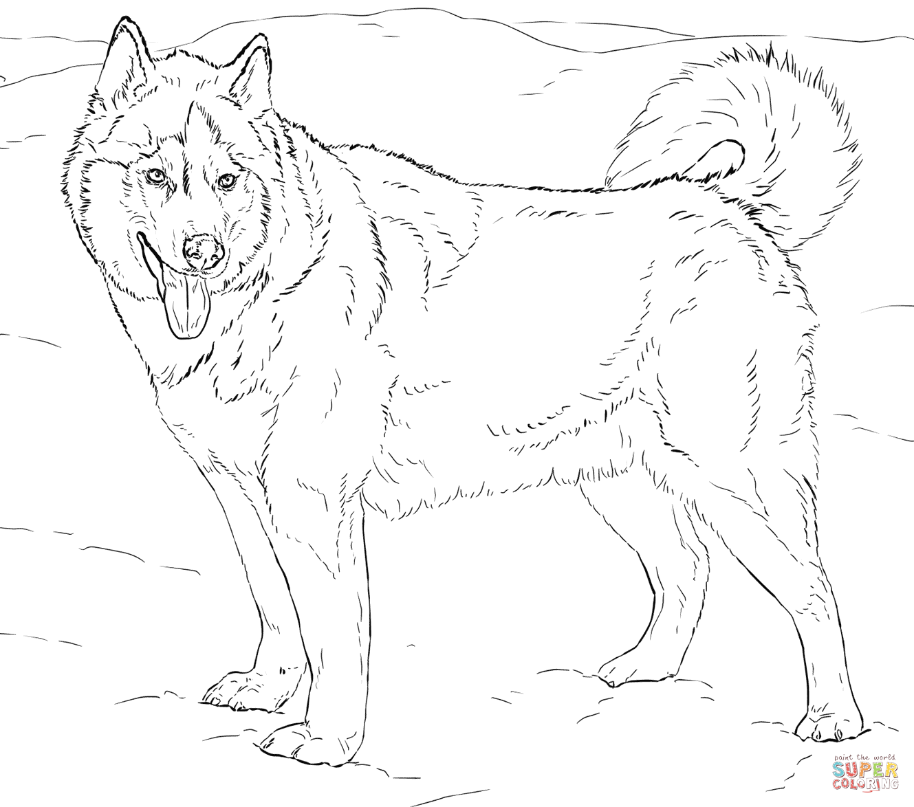 1329x1174 Difficult Husky Coloring Page Google Search Road Trip