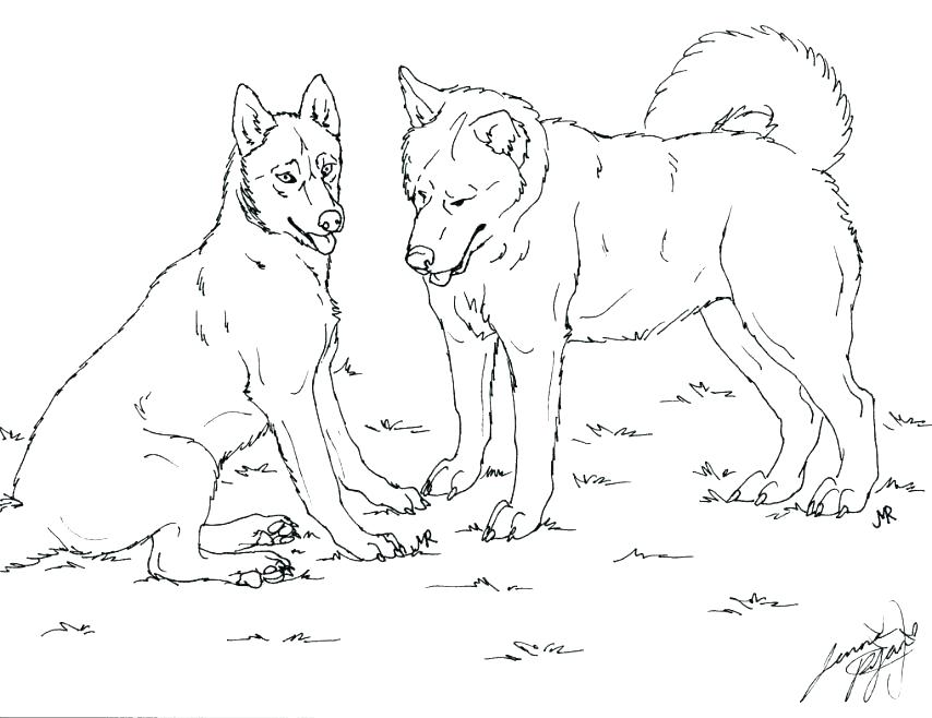 854x658 Free Dog Coloring Pages Husky Dog Coloring Pages Dog Coloring