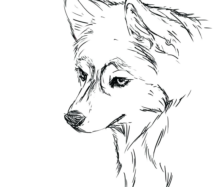 900x768 Husky Coloring Page Dog Coloring Sheets Free Printable Dog Free