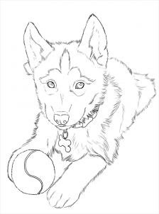224x302 Smartness Design Husky Coloring Pages Printable To Print Football