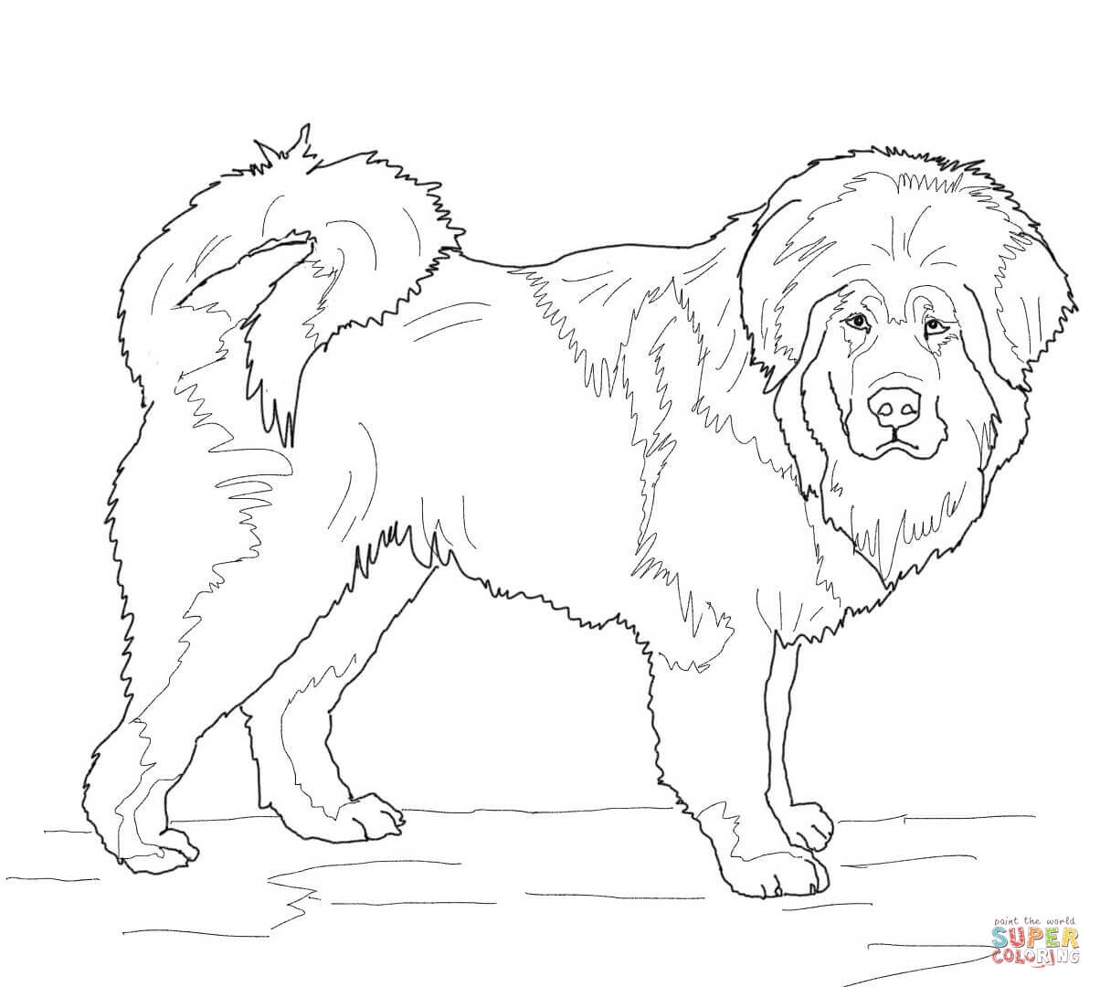 1204x1080 Tibetan Mastiff Coloring Pages Printable Coloring For Kids 2018