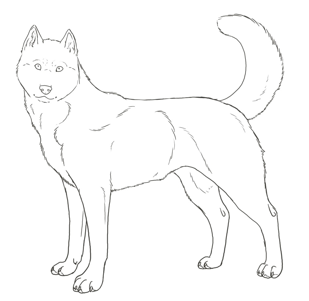 1000x973 Delighted Husky Coloring Pages Page Free Printable
