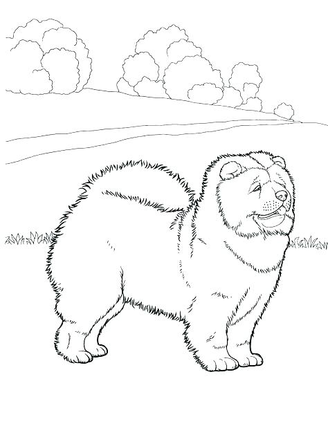 474x645 Coloring Pictures Of Dogs Hot Dog Coloring Page Dog Pictures