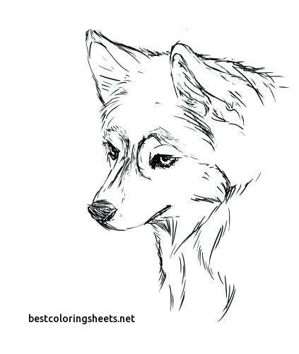 423x500 Husky Dog Coloring Pages Printable With Free Coloring Pages Husky