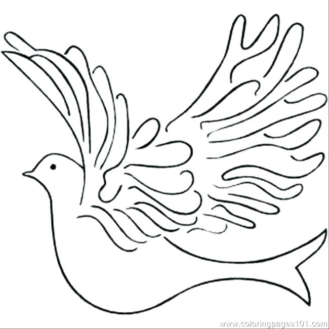 650x650 Kiwi Bird Coloring Page Macaw Coloring Book For Adults Page Image