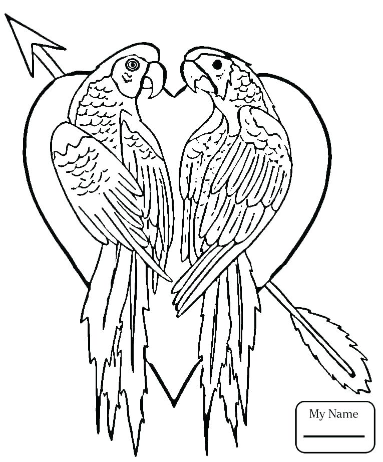 765x922 New Coloring Pages Great Blue Heron Grey Heron And Hyacinth