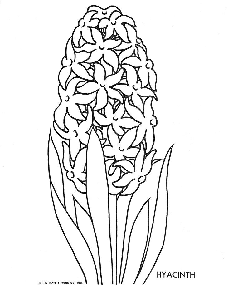 731x929 39 Best Little Flowers Crafts Images On Coloring Books