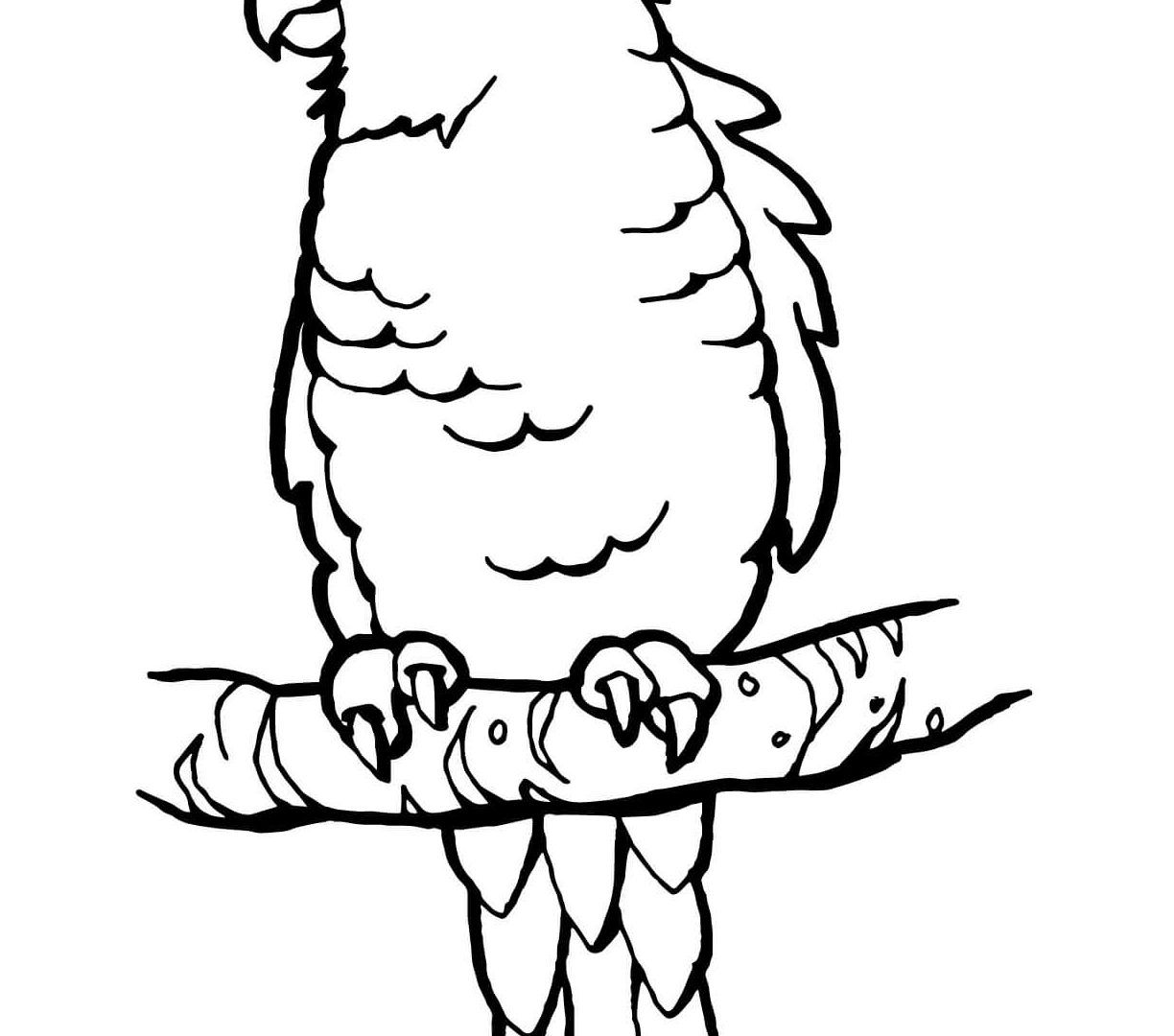 1224x1080 Unbelievable Hyacinth Macaw Parrots Birds Coloring Pages Printable