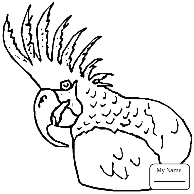 765x767 Coloring Blue Macaw Coloring Pages Page Parrot Flying