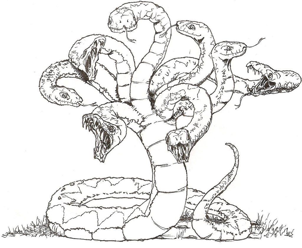 1024x843 Hydra By Fausto Zeus On The Neverending Library