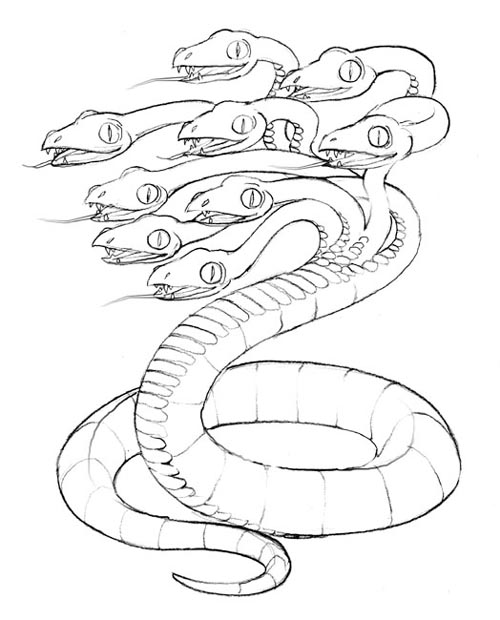 500x620 Hydra.jpg