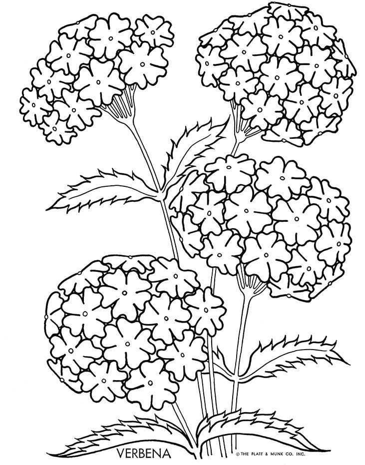731x931 Pin By Carolyn Roggensee On Color Pages Adult