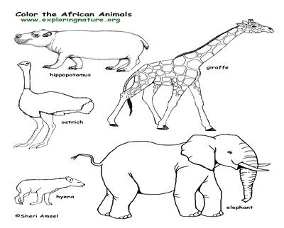 400x322 Baby Hyena Coloring Pages Hyenas Animal