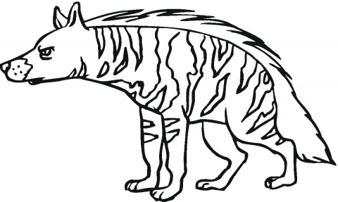 480x287 Aardwolf Colering Pages Hyenas Coloring Pages Animal Coloring