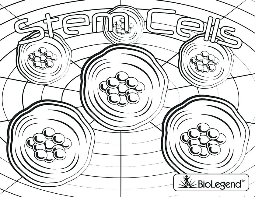838x647 Special Agent Oso Coloring Pages
