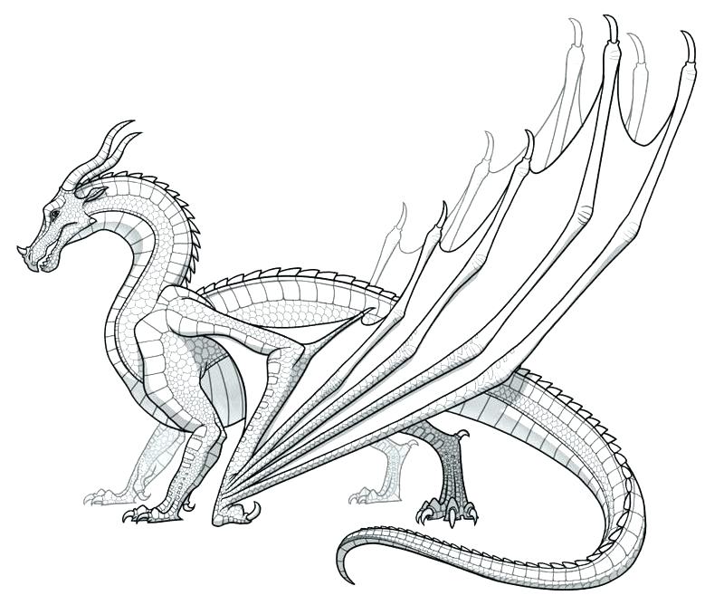 800x668 Real Dragon Coloring Pages Dragon Coloring Pages Printable Dragon