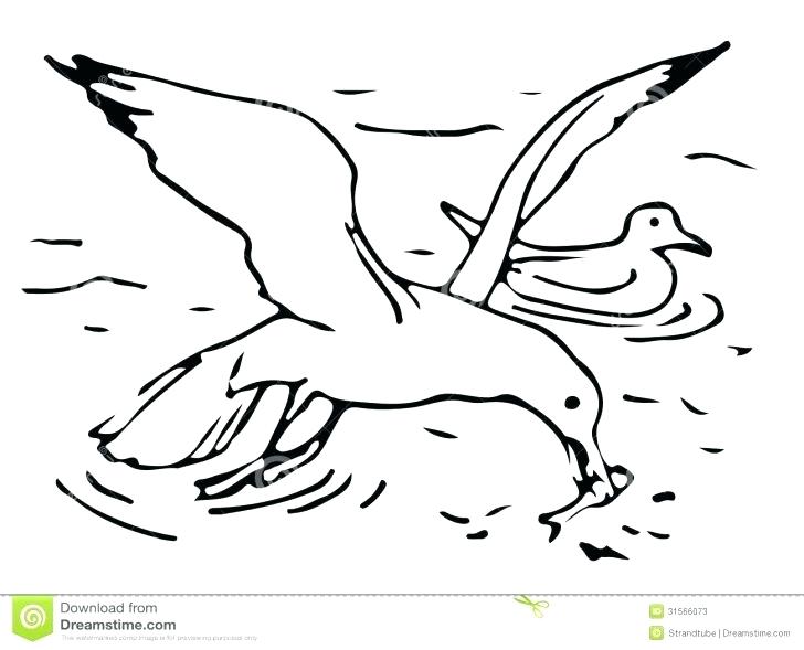 728x589 Seagull Coloring Page Seagull Hide From Polar Bear Behind Iceberg