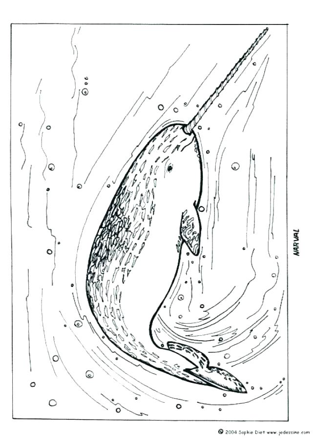 643x900 Antarctica Coloring Pages