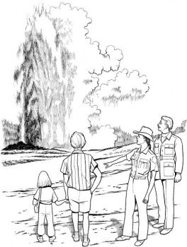 264x350 Geyser In Yellowstone National Park Yellowstone Vacation