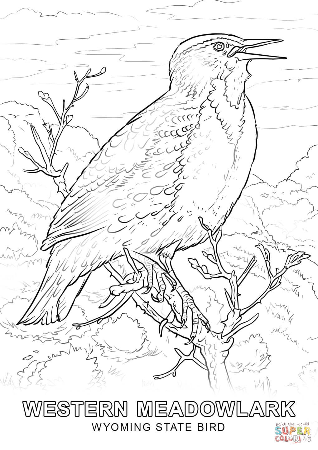 1020x1440 Powerful Idaho State Bird Coloring Page Wyomin