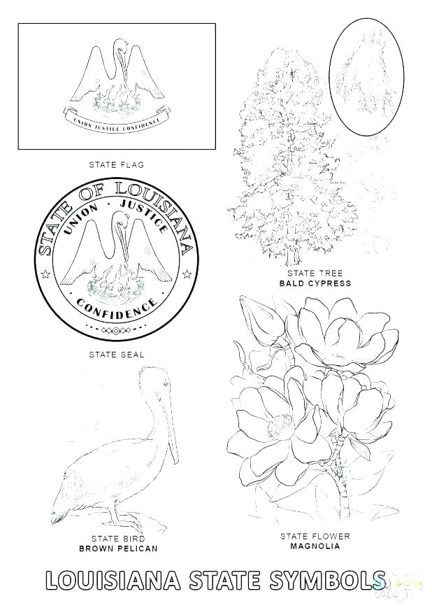 618x872 United States Symbols Coloring Pages Page Idaho State Symbols