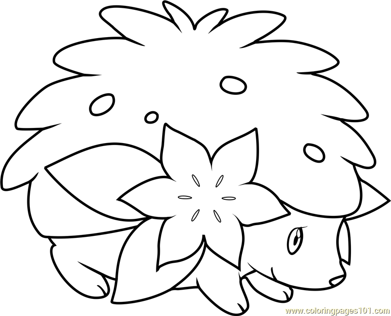 800x647 Shaymin Pokemon Coloring Page